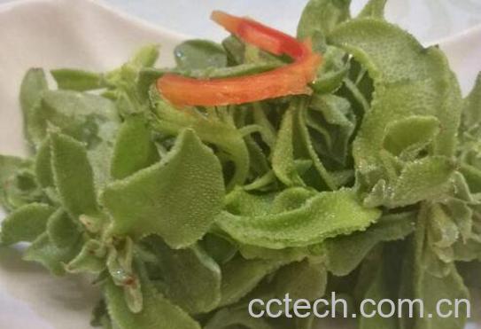 冰菜图片 冰菜的功效与作用-1