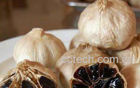吃黑大蒜的功效与作用-0