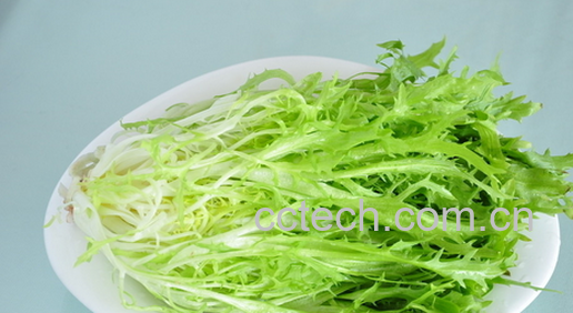 苦苣菜怎么吃 苦苣菜如何凉拌-1