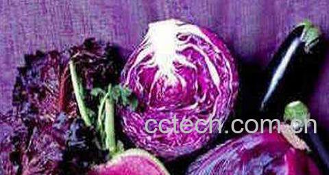 紫色的菜有哪些 紫色的蔬菜图片和功效-1