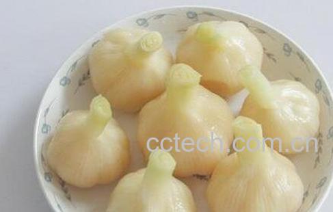 蒜头怎么腌制好吃-0