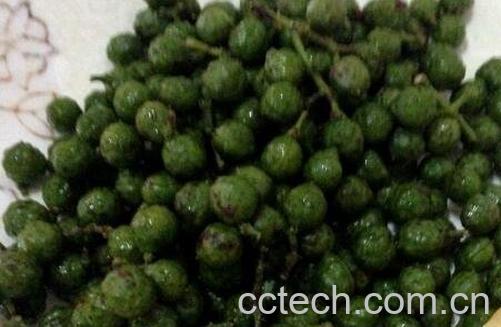 藤椒是什么 藤椒的功效与作用-1