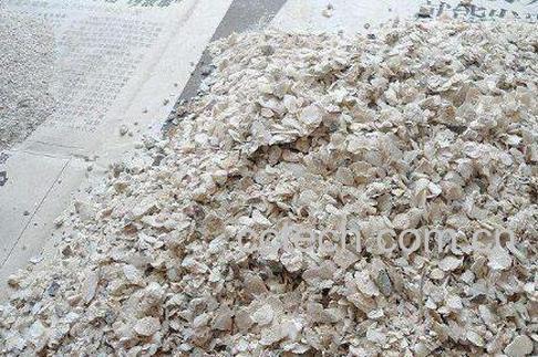 牡蛎粉的功效与作用-0