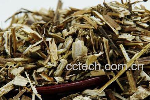 紫苏梗的功效与作用及食用方法-0