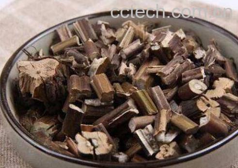 紫苏梗的功效与作用及食用方法-1