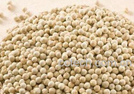 黑胡椒和白胡椒的区别 胡椒的功效-1