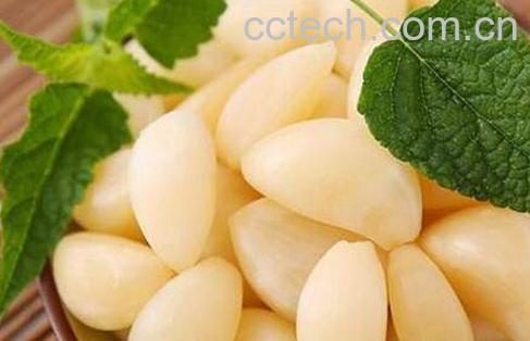 醋泡大蒜的功效与作用-1