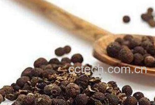 什么人不能吃胡椒 胡椒吃多了有什么害处-1