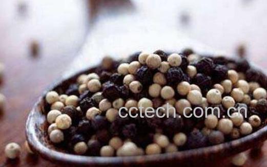 什么人不能吃胡椒 胡椒吃多了有什么害处-0