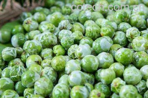 苦子果的功效和作用 苦子果的食用方法-1