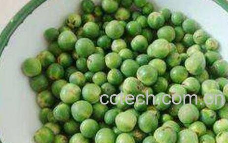 苦子果的功效和作用 苦子果的食用方法-0