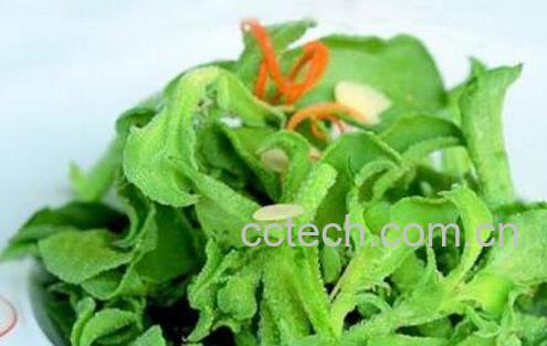 冰草怎么吃 冰草什么人群不能食用-1