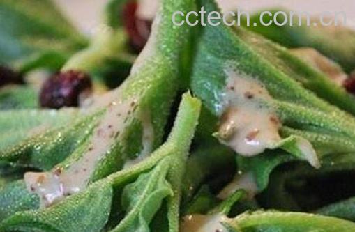 冰草怎么吃 冰草什么人群不能食用-0