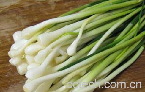  小蒜的功效与作用 小蒜的食用方法-0