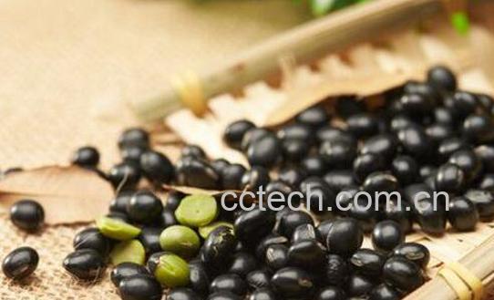 孕期吃黑豆好处和坏处-0