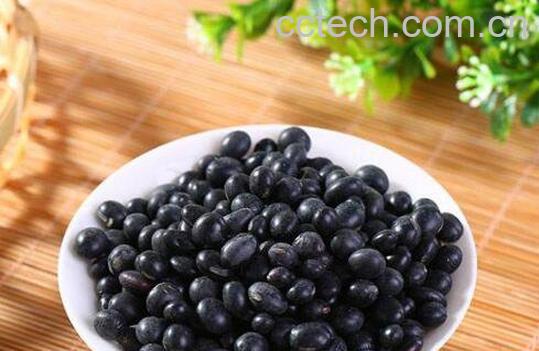孕期吃黑豆好处和坏处-1
