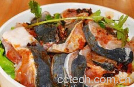 梭边鱼和鲶鱼的区别有哪些 吃梭边鱼对身体有害吗-1