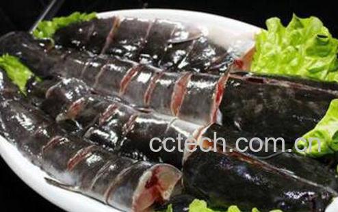 梭边鱼和鲶鱼的区别有哪些 吃梭边鱼对身体有害吗-0