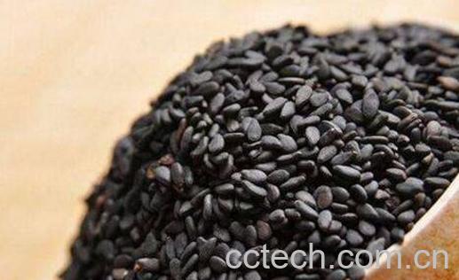 黑芝麻怎么吃最好 黑芝麻的营养吃法-0