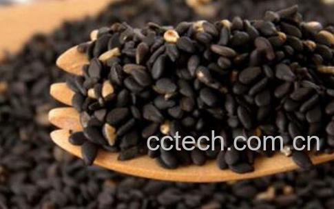 黑芝麻怎么吃最好 黑芝麻的营养吃法-1