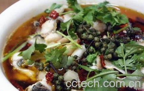 乌江鱼和鲶鱼怎么区分 乌江鱼是鲶鱼的一种吗-0