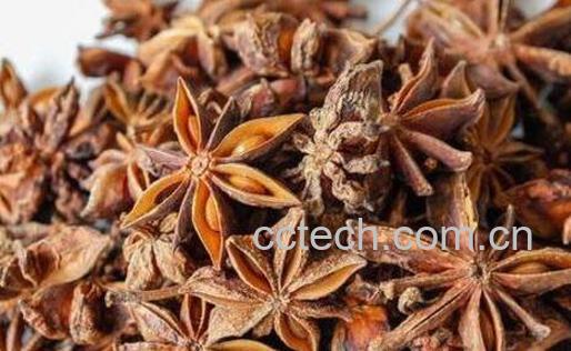 大料是什么调料 大料的功效与作用-0