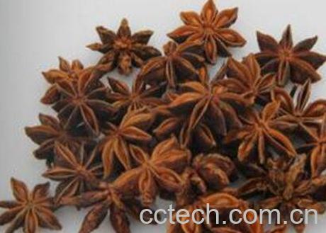 大料是什么调料 大料的功效与作用-1