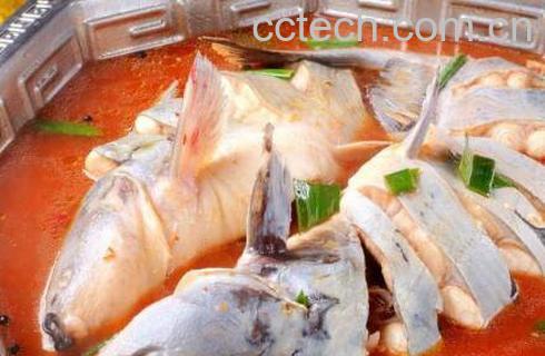 乌江鱼和鲶鱼怎么区分 乌江鱼是鲶鱼的一种吗-1