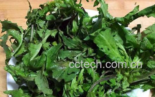 壮阳野菜有哪些 什么野菜补肾壮阳-0