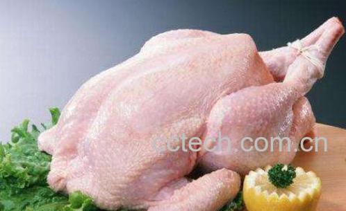 鸡肉不能和什么一起吃 和鸡肉不能一起吃的食物介绍-0