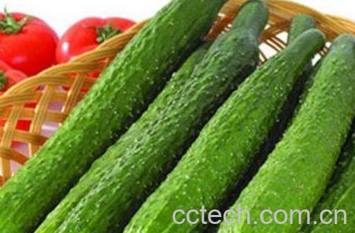 上火吃什么好 适合上火吃的食物有哪些-0