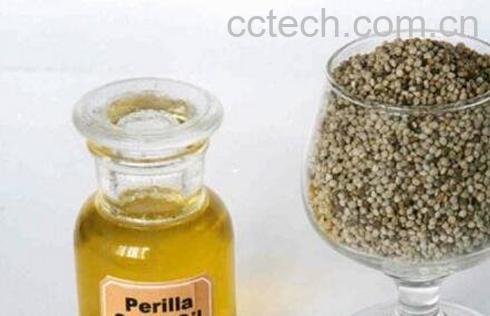 紫苏籽油的功效与作用及营养价值-1