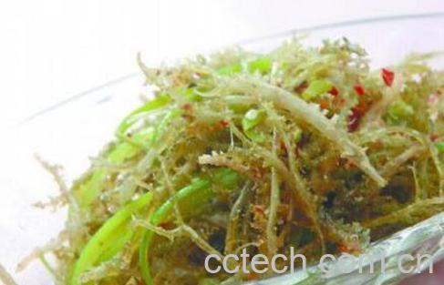 鹿角菜和龙须菜的区别 鹿角菜的常见吃法-1