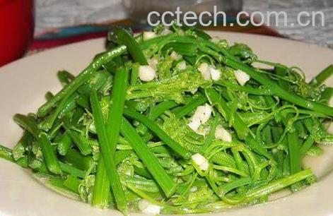 龙须菜是什么菜 龙须菜怎么做好吃-0