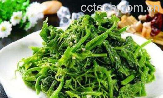 龙须菜是什么菜 龙须菜怎么做好吃-1