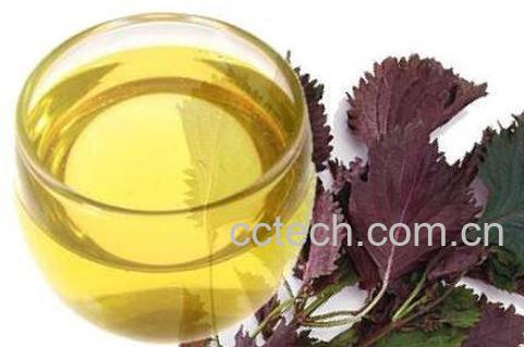 紫苏籽油的功效与作用-1