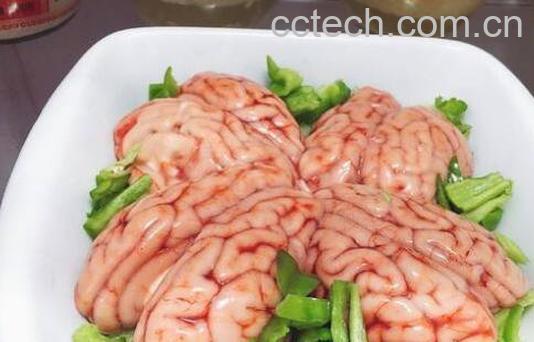  猪脑的功效与作用-0