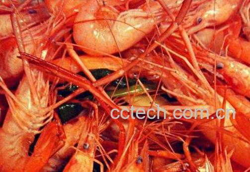 河虾和海虾的区别 河虾和海虾的常见吃法-0