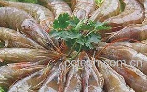 河虾和海虾的区别 河虾和海虾的常见吃法-1