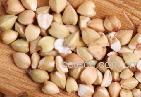 荞麦的功效与作用及食用方法-0