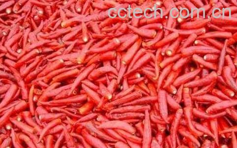 辣椒素对身体有害吗 合成辣椒素有哪些危害-1