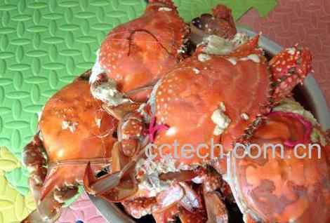 螃蟹不能和什么一起吃 吃螃蟹不能吃什么-0