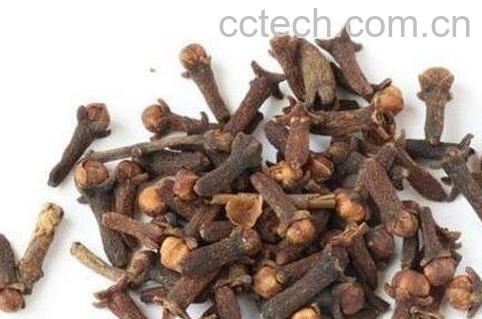 丁香做菜起什么作用 丁香的食用方法-1