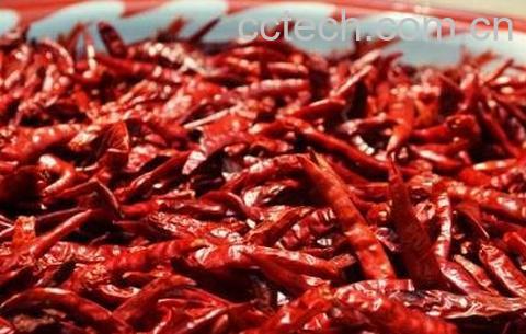 晒干的辣椒怎么做好吃-0