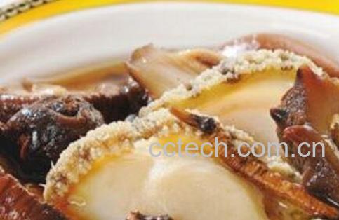 鲍鱼炖冬虫夏草的功效与作用-1