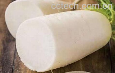 白萝卜的功效和禁忌-1