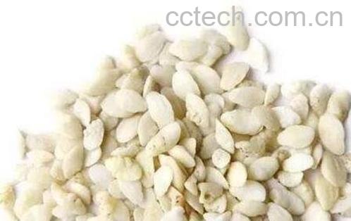 中药鱼脑石的功效与作用及药用价值-0