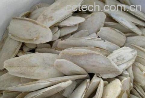 中药鱼古的功效与作用-0