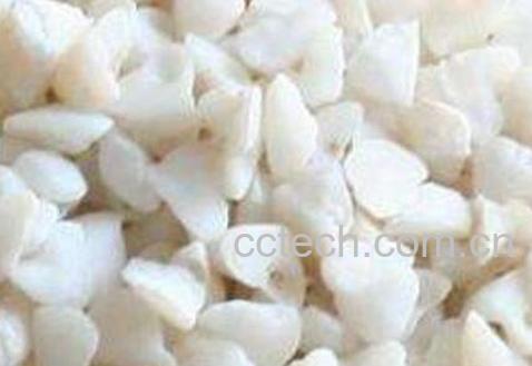 中药鱼脑石的功效与作用及药用价值-1