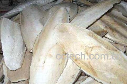 中药鱼古的功效与作用-1